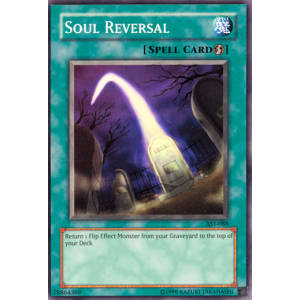 Soul Reversal