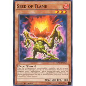 Seed of Flame