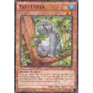 Tree Otter (Shatterfoil)