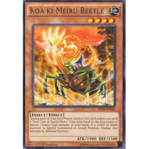 Koa'ki Meiru Beetle