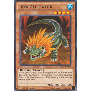 Lion Alligator