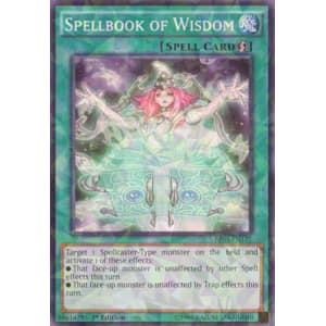 Spellbook of Wisdom (Shatterfoil)