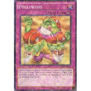Pollinosis (Shatterfoil)