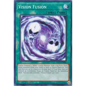 Vision Fusion