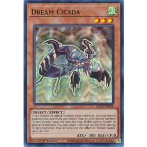 Dream Cicada
