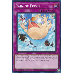 Rain of Frogs