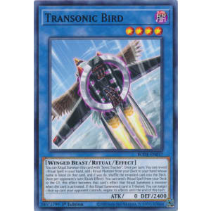 Transonic Bird