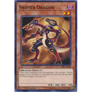 Sniffer Dragon