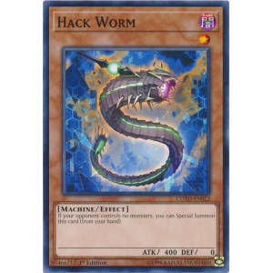 Hack Worm