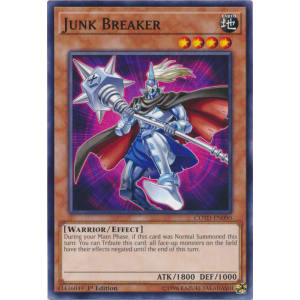 Junk Breaker