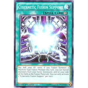 Cybernetic Fusion Support