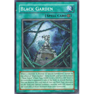 Black Garden