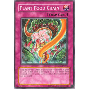 Plant Food Chain