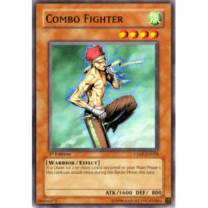 Combo Fighter