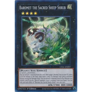 Baromet the Sacred Sheep Shrub