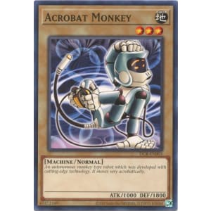 Acrobat Monkey (25th Anniversary Edition)