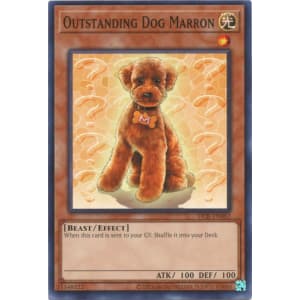 Outstanding Dog Marron (25th Anniversary Edition)