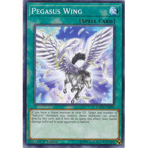 Pegasus Wing
