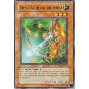 Arcane Archer of the Forest