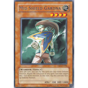 Mid Shield Gardna