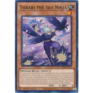 Tobari the Sky Ninja