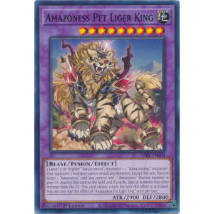 Amazoness Pet Liger King