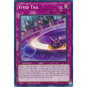 Vivid Tail