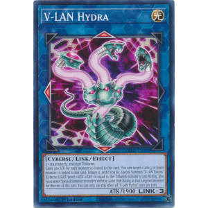 V-LAN Hydra