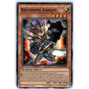 Beginning Knight