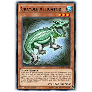 Graydle Alligator