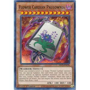 Flower Cardian Paulownia