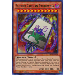 Flower Cardian Paulownia