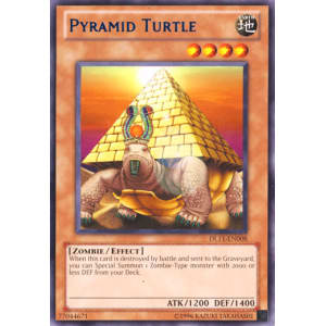 Pyramid Turtle (Blue)