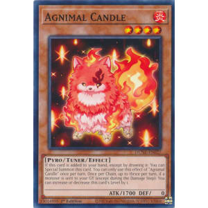 Agnimal Candle