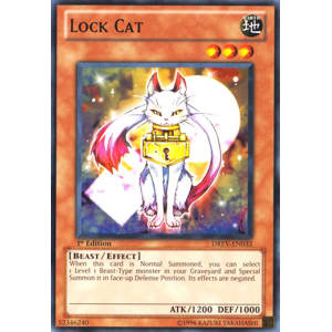 Lock Cat