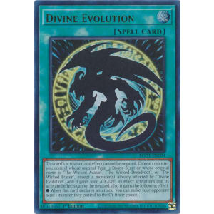 Divine Evolution