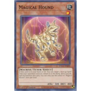 Magical Hound