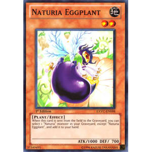 Naturia Eggplant