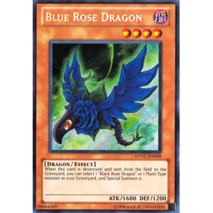 Blue Rose Dragon