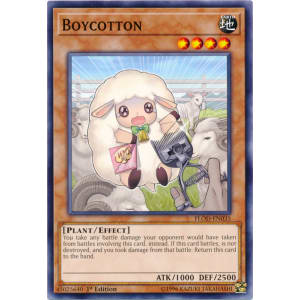 Boycotton