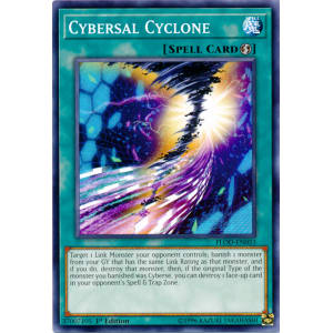 Cybersal Cyclone