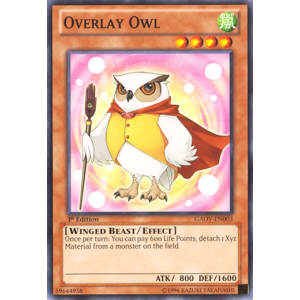 Overlay Owl
