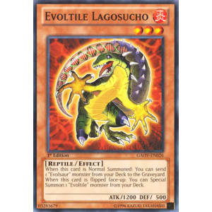 Evoltile Lagosucho