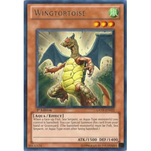 Wingtortoise