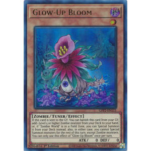 Glow-Up Bloom