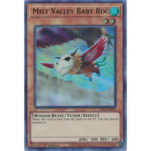 Mist Valley Baby Roc