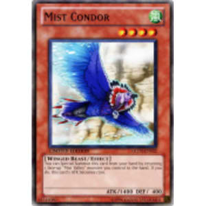 Mist Condor