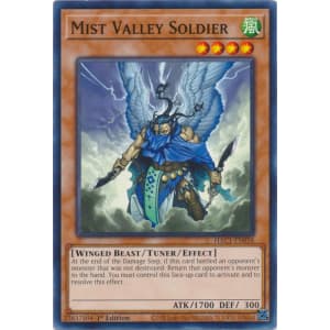 Mist Valley Soldier