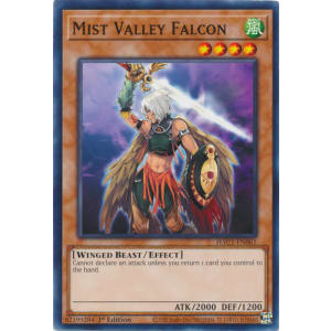 Mist Valley Falcon