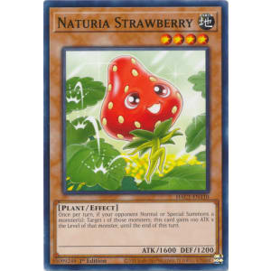 Naturia Strawberry